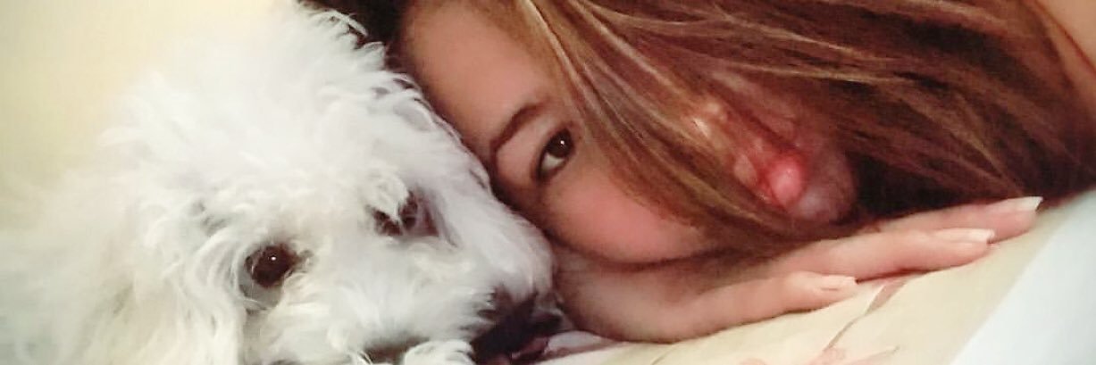 Chinizbb's profile banner image