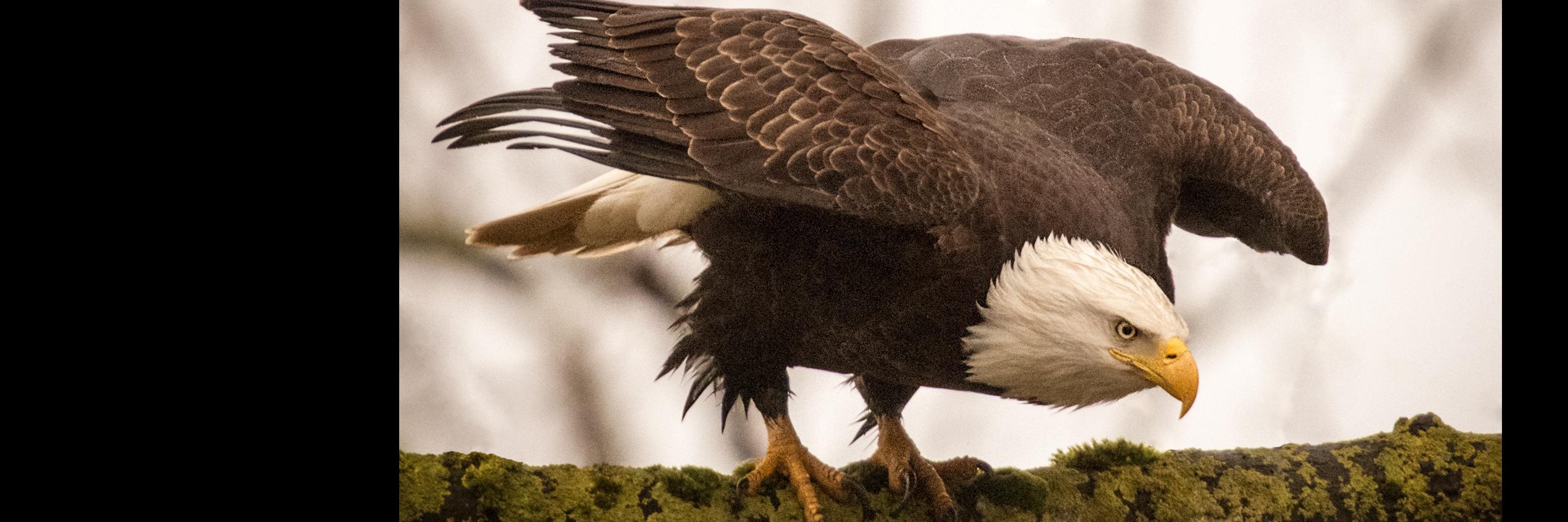hhargitt's profile banner image