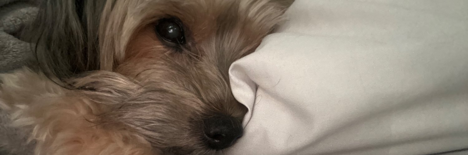 _lilmeech's profile banner image