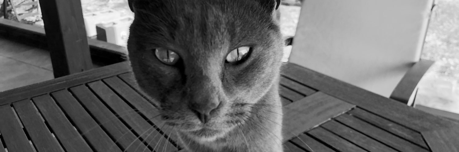 javiermateo's profile banner image