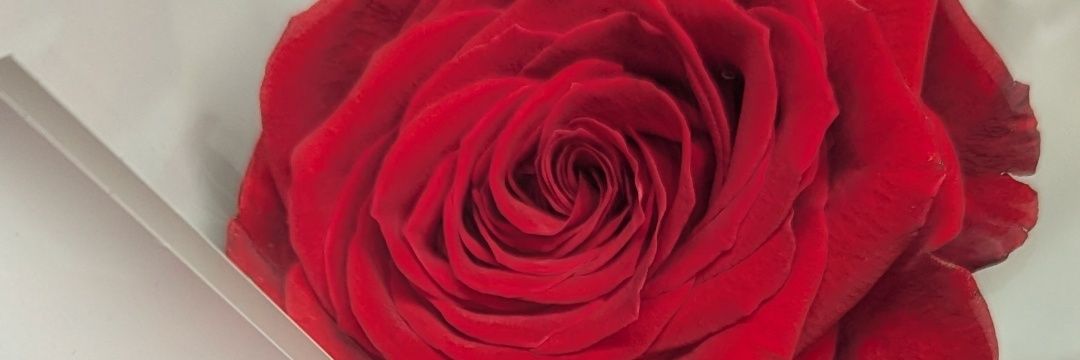 LoveStaceyNow's profile banner image