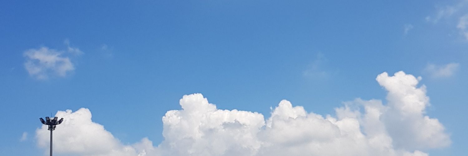 Reveal Review banner