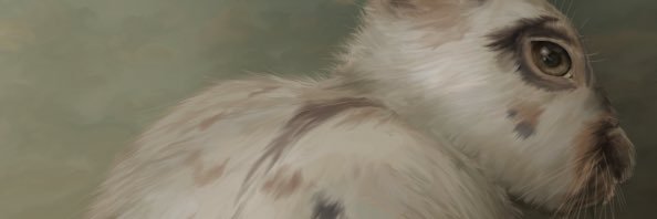 Tezzabold's profile banner image