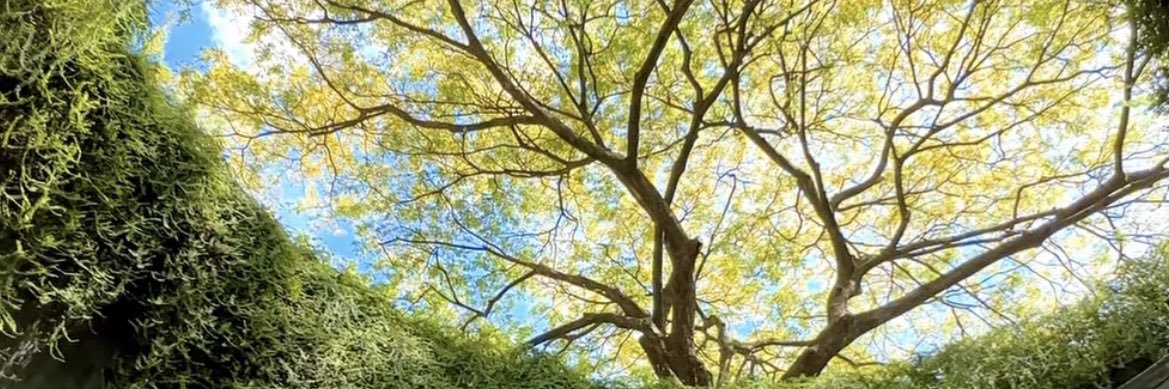 tuanta✸,✸ banner