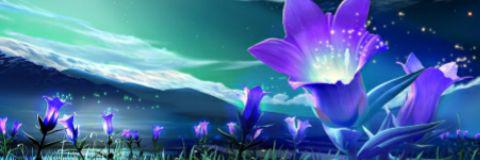 BungaMaudyA's profile banner image