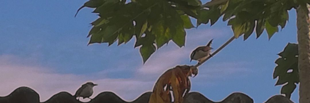 __glo__99's profile banner image
