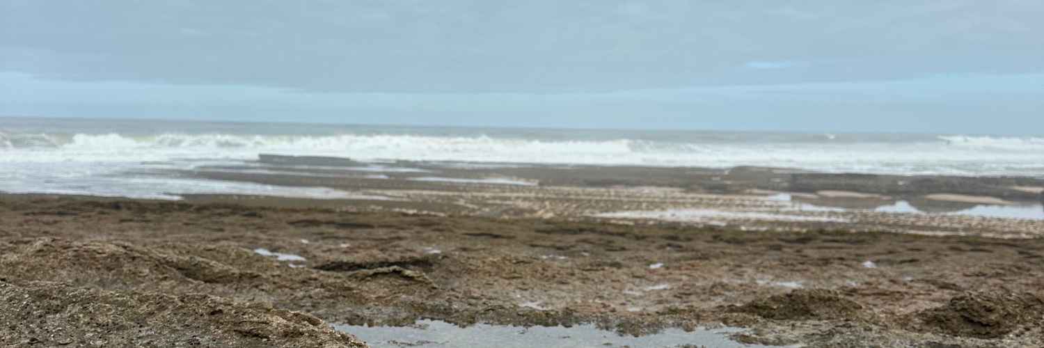 Vincent Janssen banner