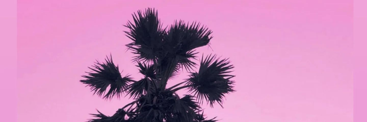 fleexit's profile banner image