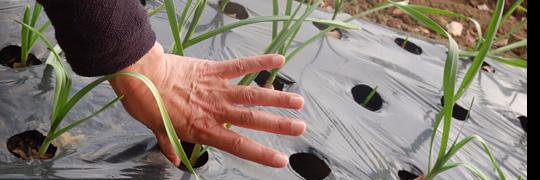 株式会社シーピーシー banner