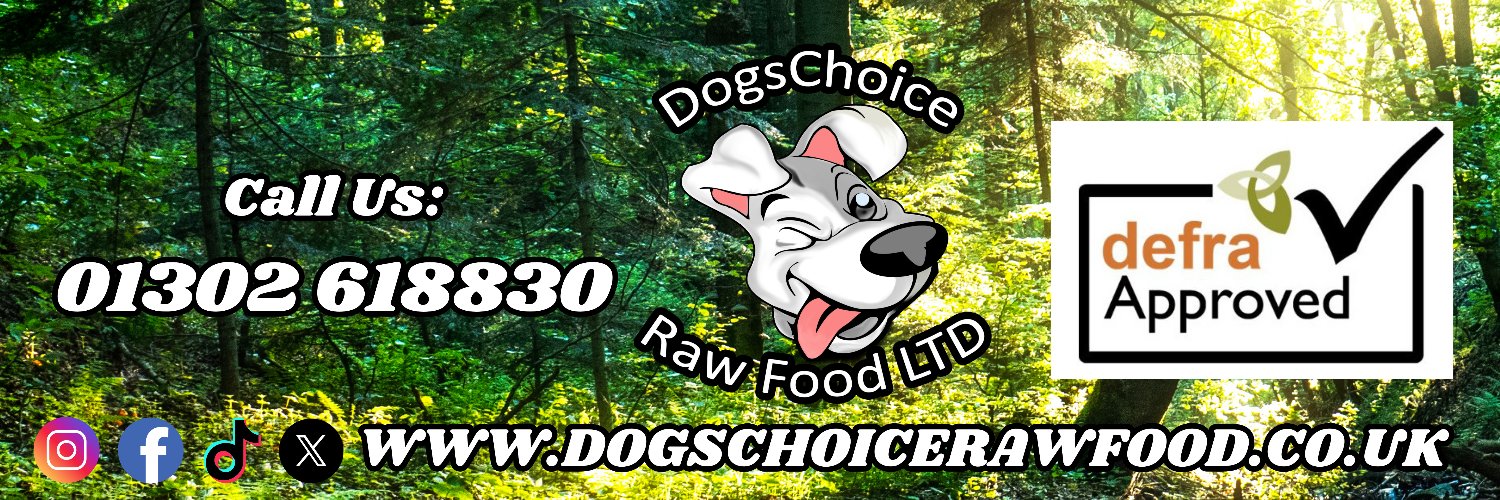 dogschoiceuk's profile banner image