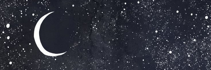 dickelous's profile banner image