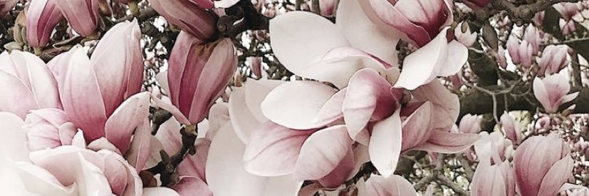 JanelleNgo's profile banner image