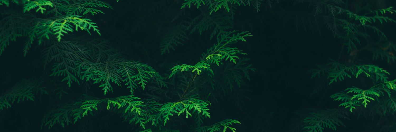 sonya atılgan banner