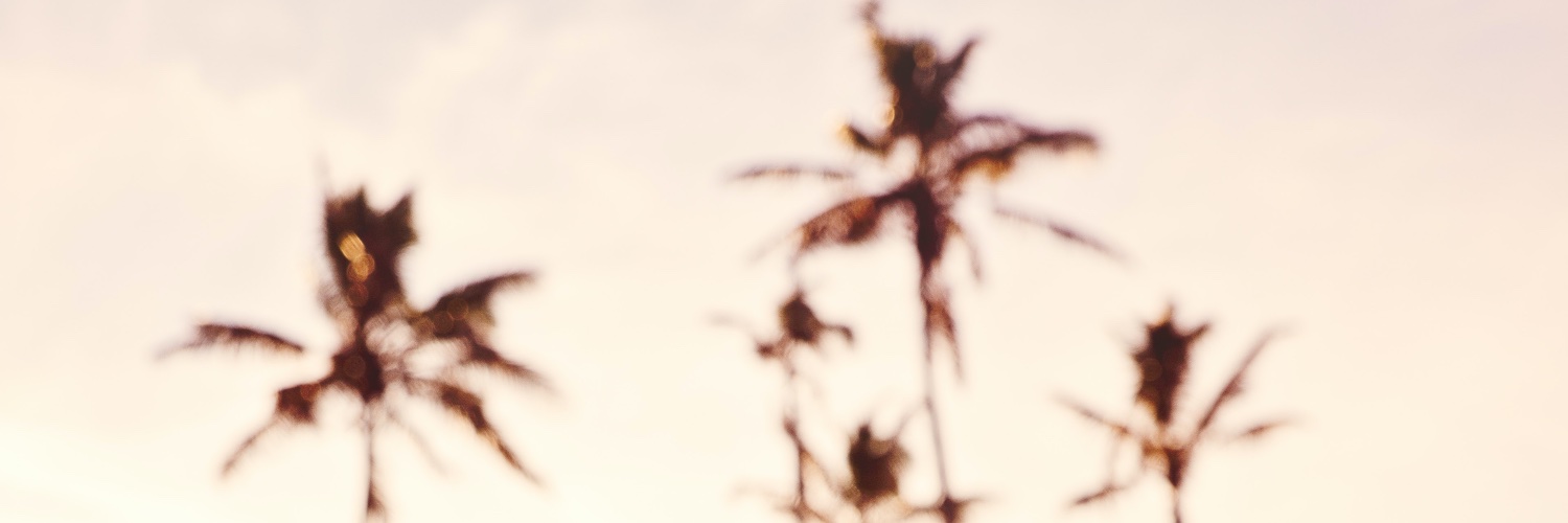 Chlo banner