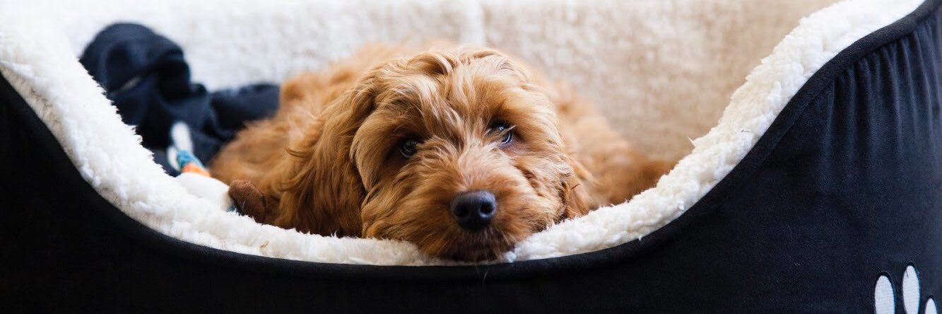 School of Childhood & Education #FE banner