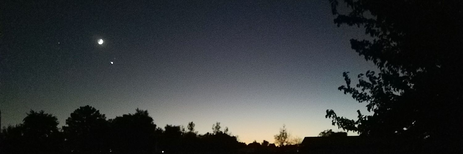 Clarice of the Cosmos Freedom Fighter banner