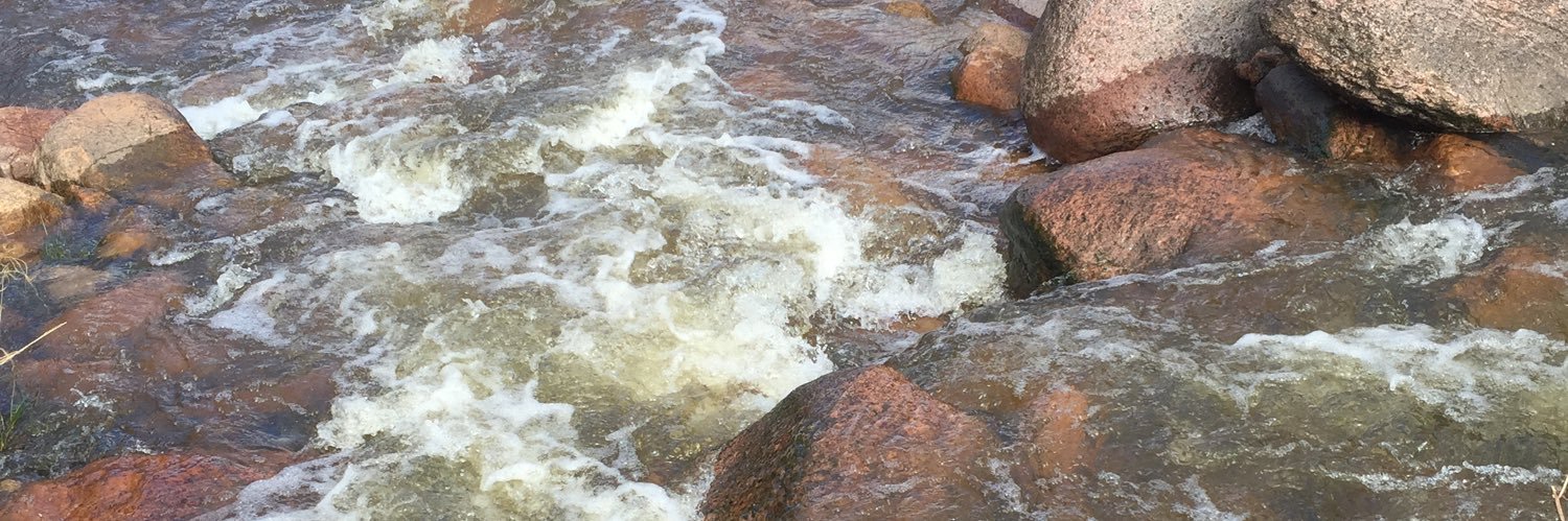 Allison Weintraub banner