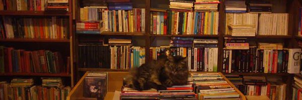 _Ber_ces_te Profile Banner