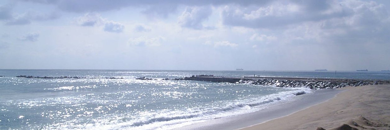 mariscal_ceba's profile banner image