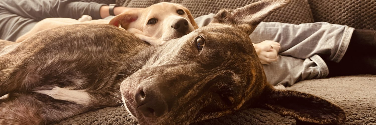 JadynRauch's profile banner image
