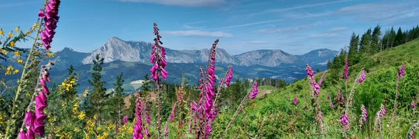 olosaba_enabi Profile Banner