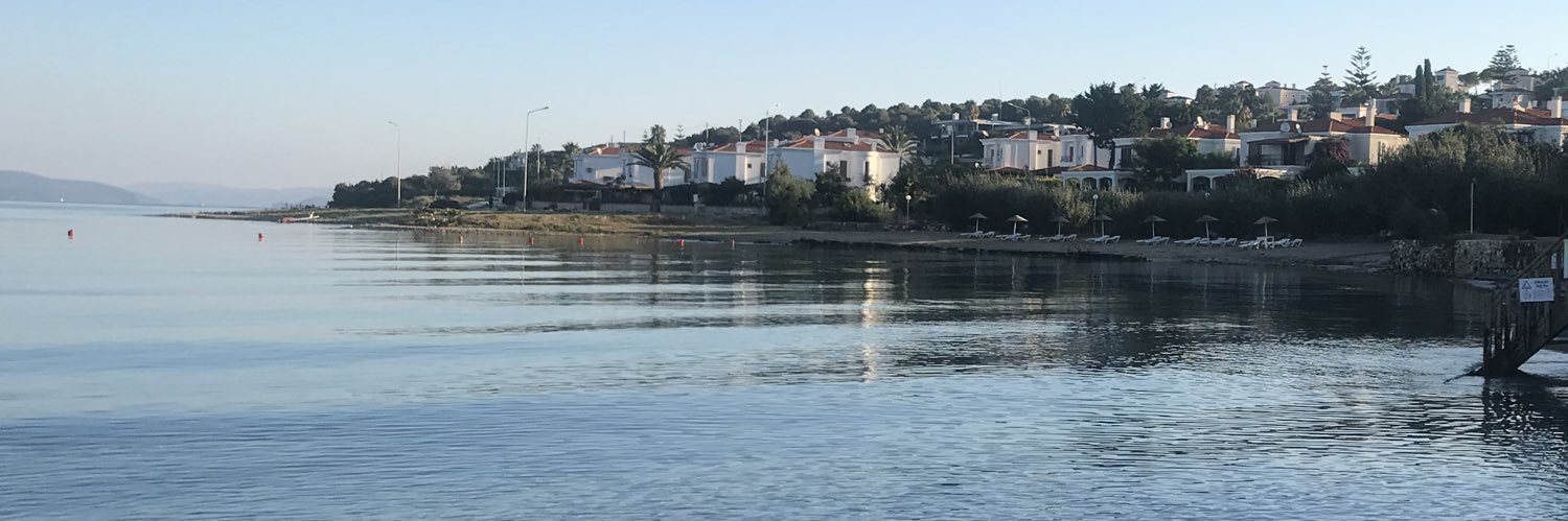 Dr Meral Kayikcioglu's banner