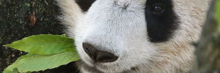 AbVermin's profile banner image