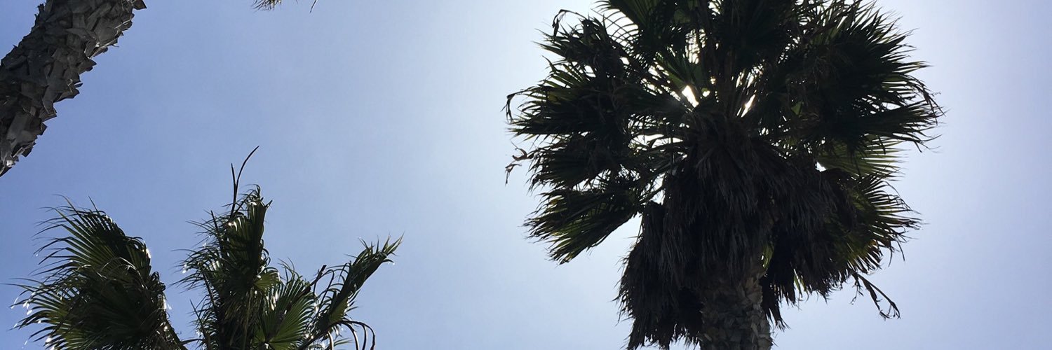 Taylor banner
