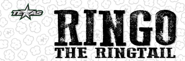 TXStarsRingo Profile Banner