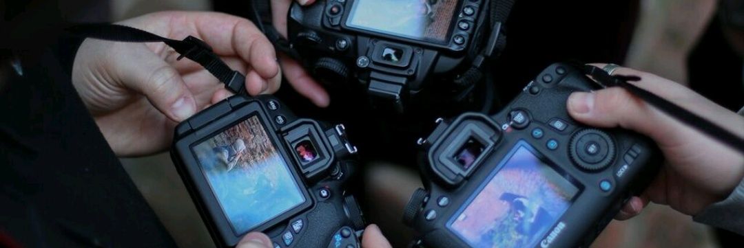 YYJPhotographer's profile banner image