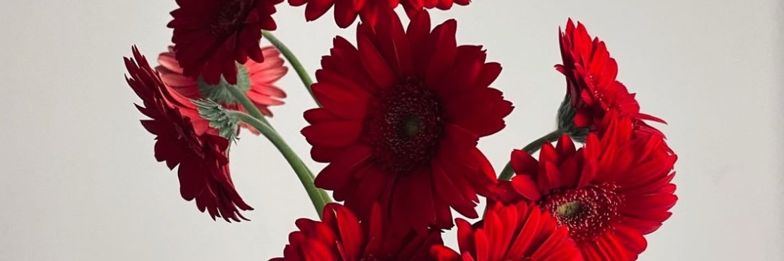 kroj7_'s profile banner image