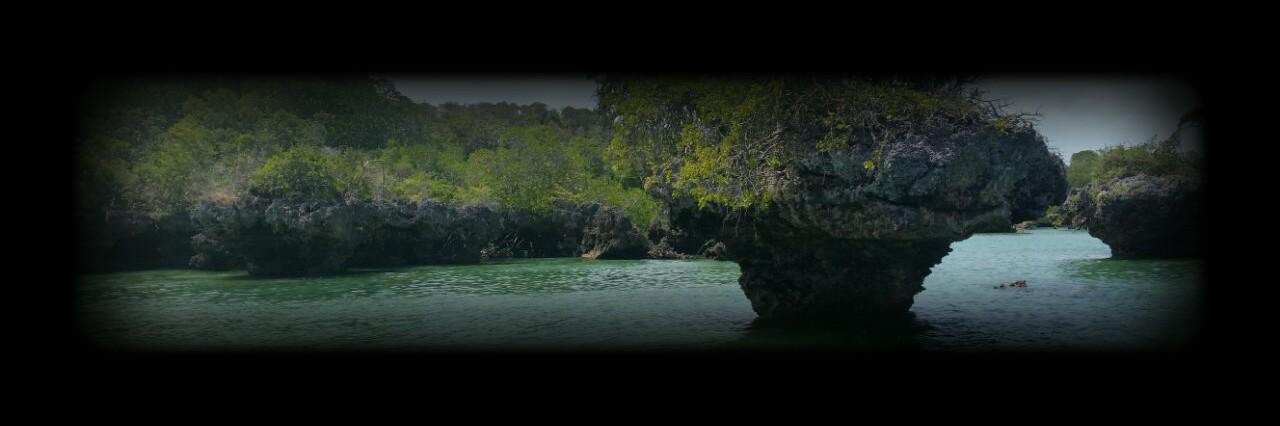 amrorashad's profile banner image
