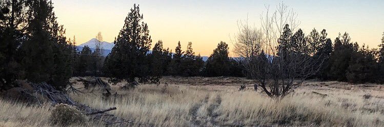 ✨･ ﾟ𝓿𝔦ηt𝐀𝐆ｅ ℓ𝒶ù𝐑𝓔𝕟 ﾟ･✨ banner