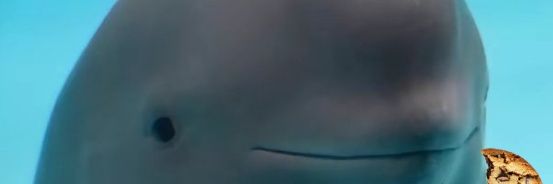 jaydeeemmpee's profile banner image