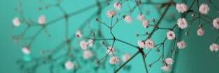 _nithya_r's profile banner image