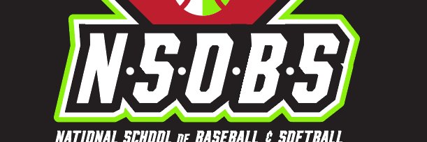 NSOBSOfficial's profile banner image