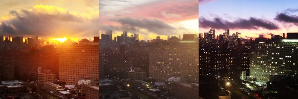 nikparth1 Profile Banner