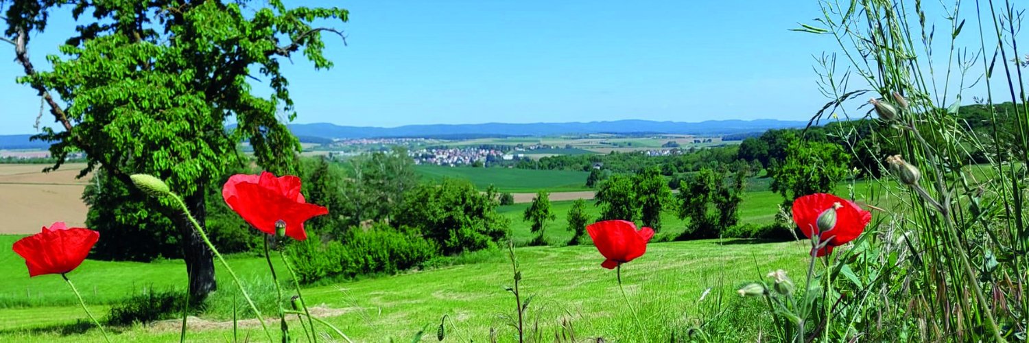 Commune Val de Moder banner