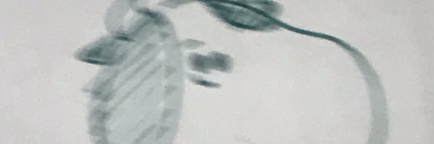 yutetsu88's profile banner image
