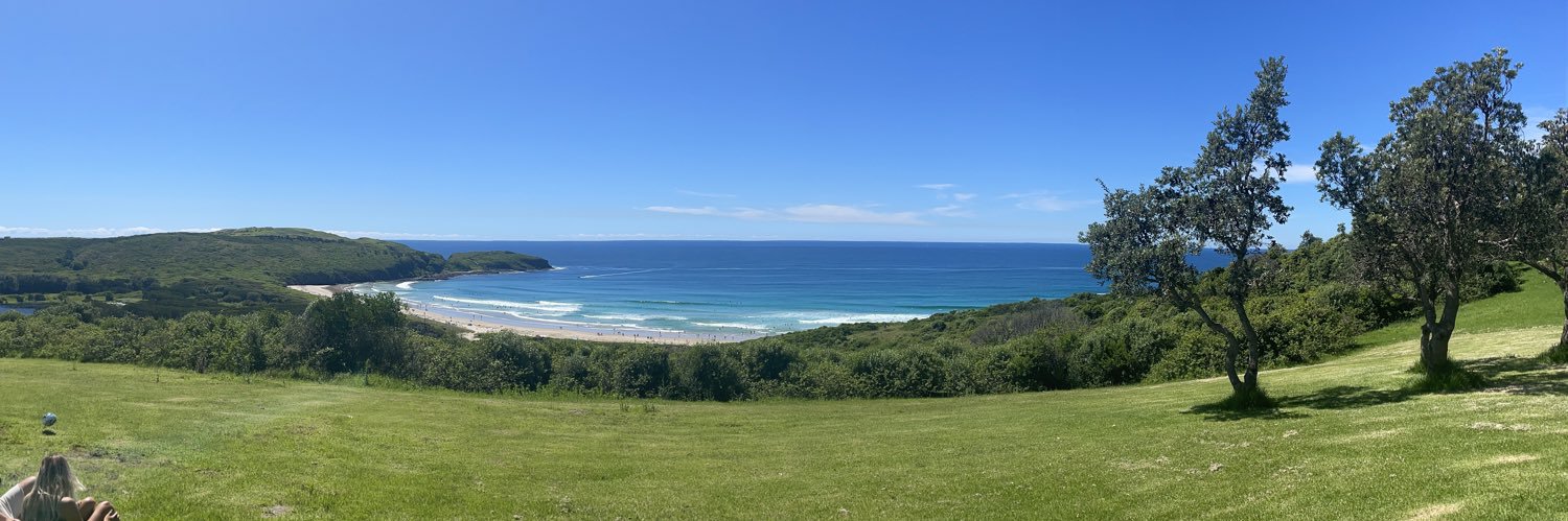 Michael Dalezios banner