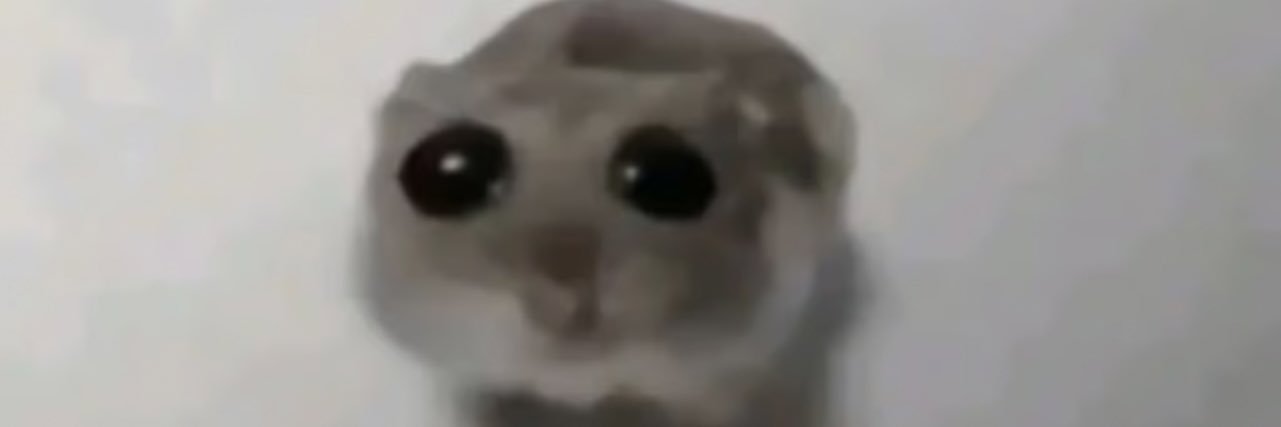 Lonnie_Bonnie banner