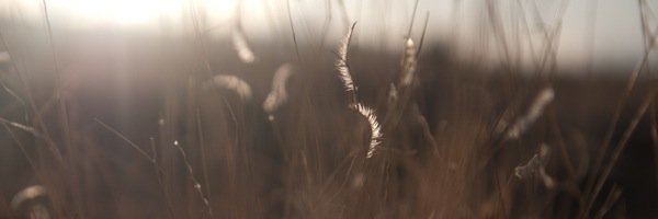 catalogue99's profile banner image