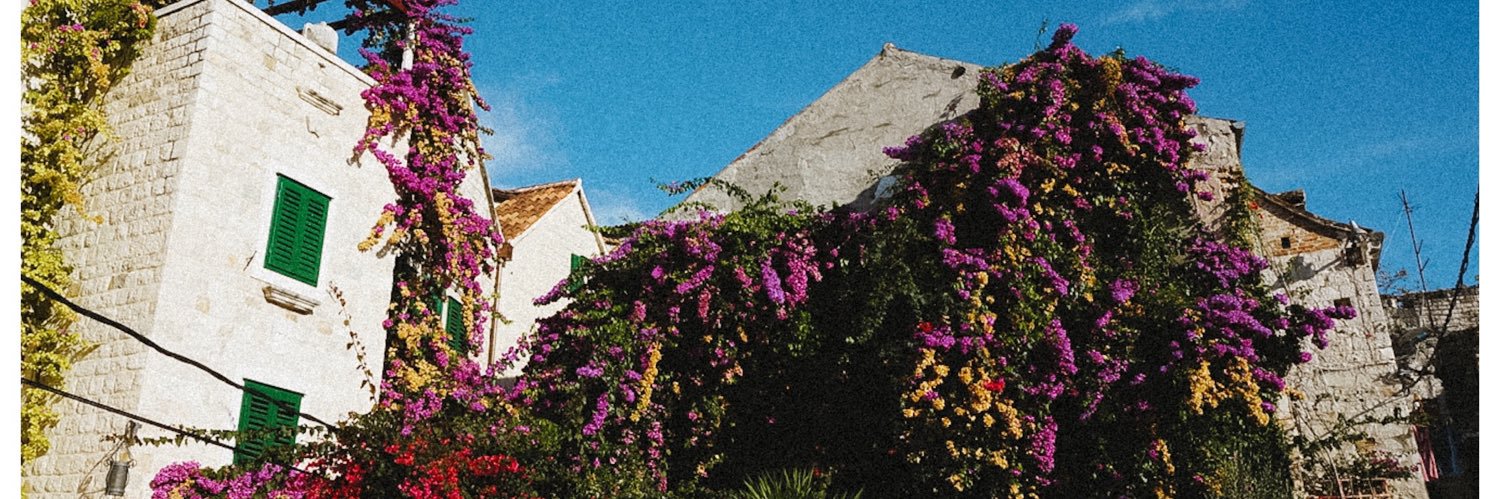 Nirachara's profile banner image