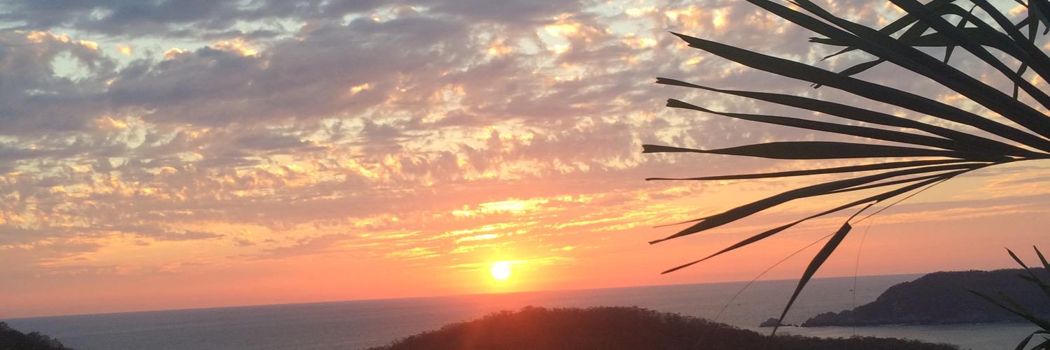 lillyperc's profile banner image