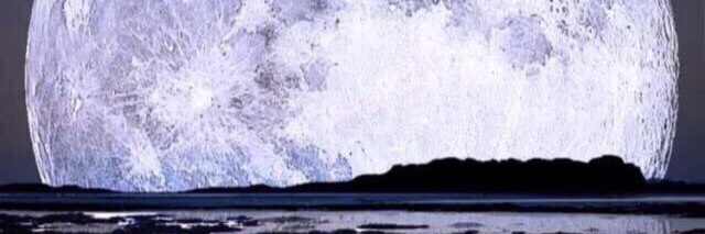 وليد الحربي banner