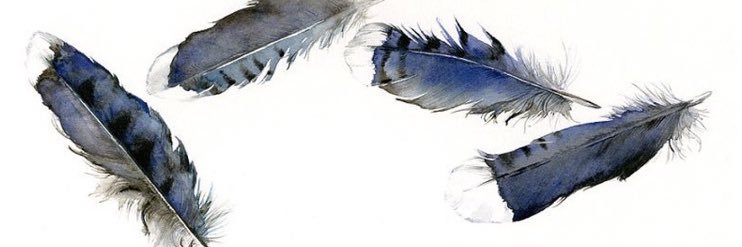 abeer25_1's profile banner image