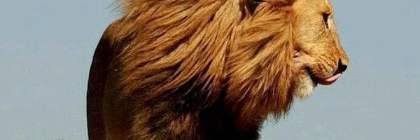 imukeshr Profile Banner