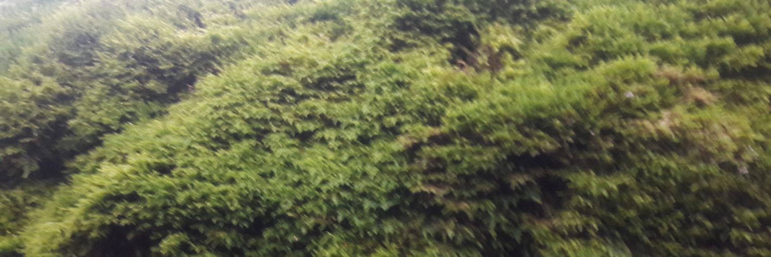 hamattan's profile banner image