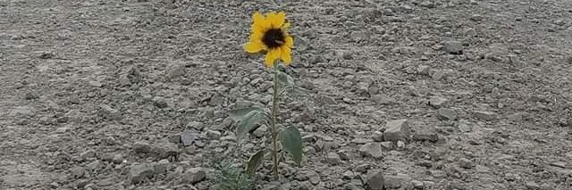 😷😷Jennifer Z Bryant😷😷 banner