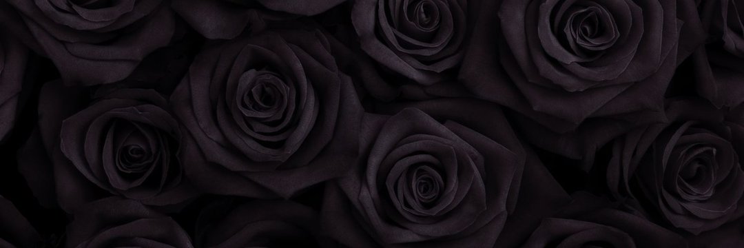 SeunTwizzy's profile banner image